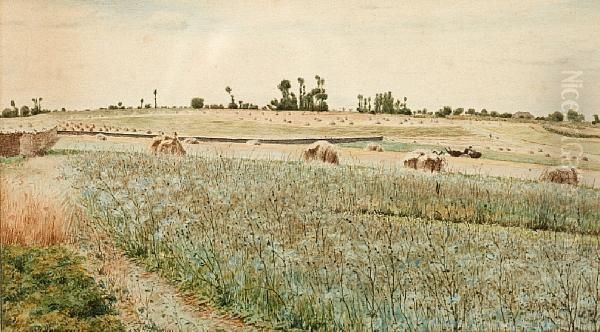 Harvest Time - view 1