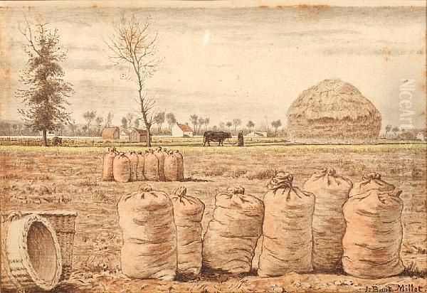 Potato Field - view 1
