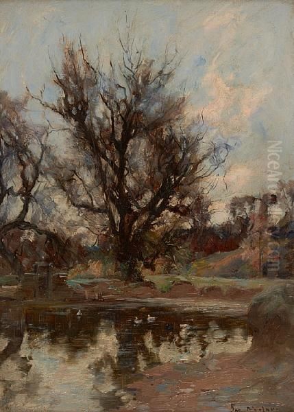 Ducks On A River - view 1