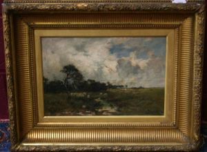 Sheep Grazing In Extensive Landscape