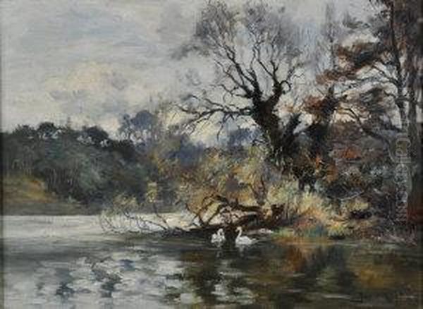 Swans At A Riverbank - view 1