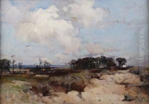 Landscape Near Newburgh On Tay