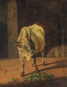 Torello by Antonio Milone