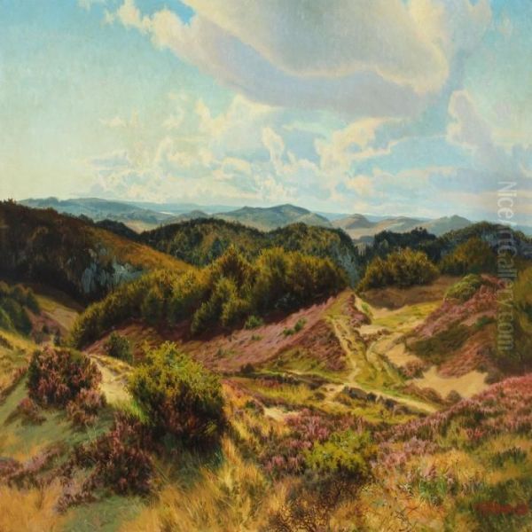 Moor Landscape With Heather In Bloom - view 1