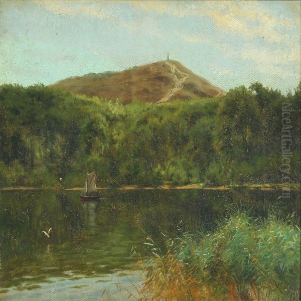Scenery From Himmelbjerget - view 1