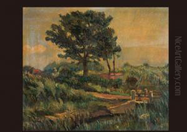 Landscape - view 1