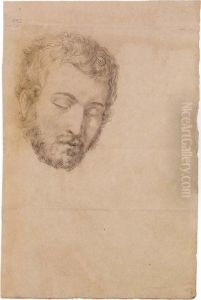 Testa Di Giovane Uomobarbuto by Tommaso Minardi
