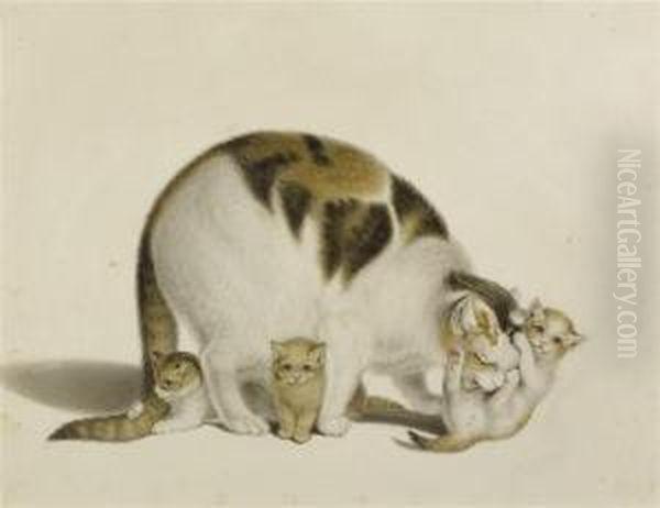 Mother Cat With Three Young - view 1