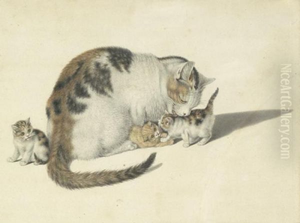 Katzenmutter Mit Drei Jungen - view 1