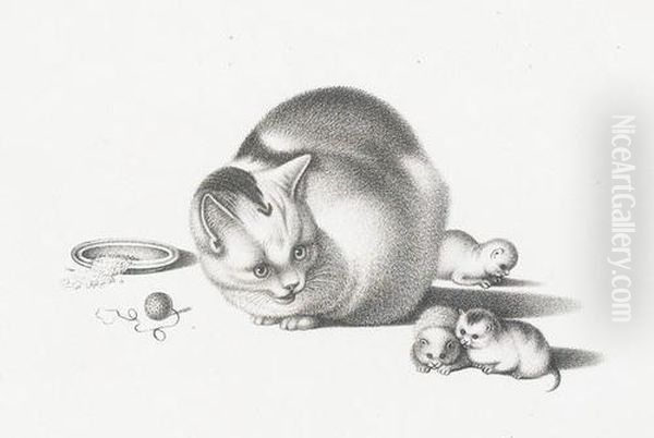 Katzenmutter Und Katzenkinder - view 1