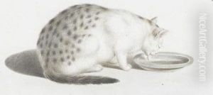 Katze Am Milchnapf by Gottfried Mind or Mindt