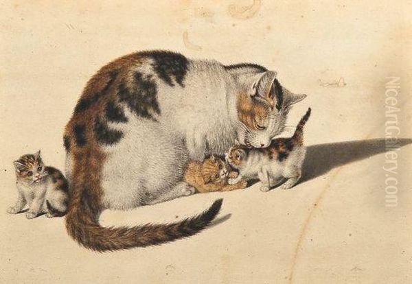 Cat And Kittens - view 1