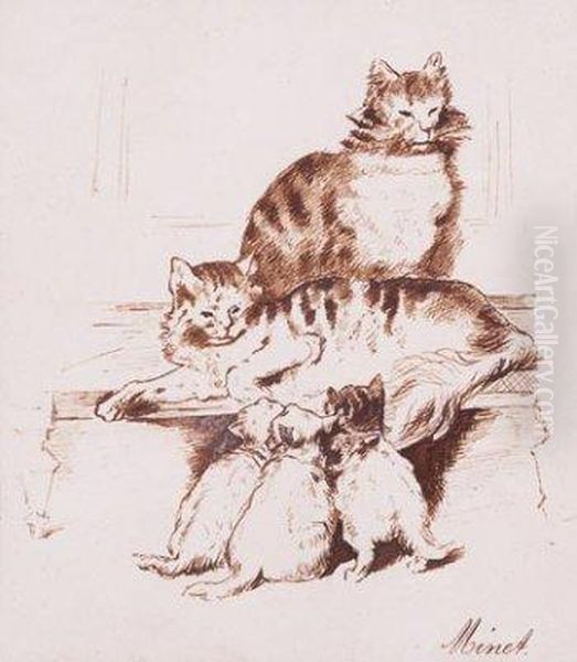 Gatos - view 1