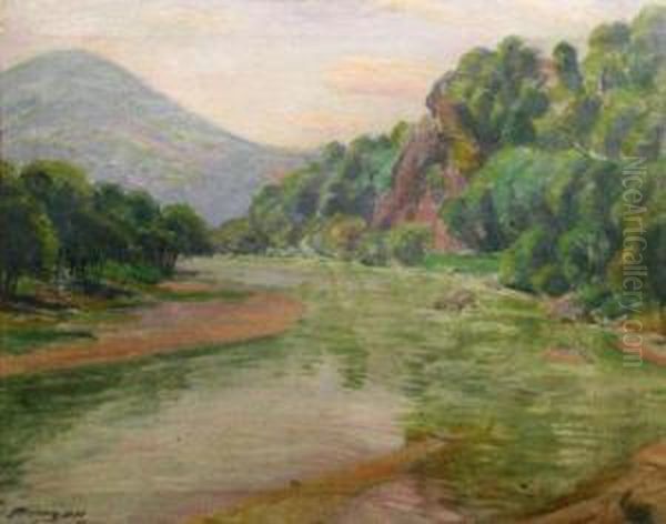 "muresul La Soimus" - view 1