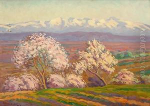 Spring Landscape - view 1
