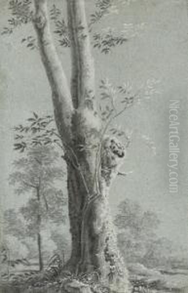 A Tree - view 1