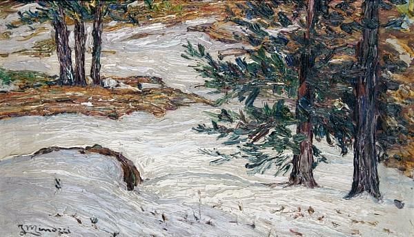 A Winter Woodland Scene - view 1