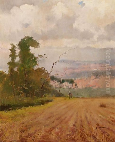 Paisaje - view 1