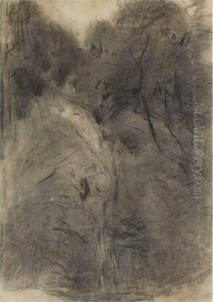 Bosque - view 1