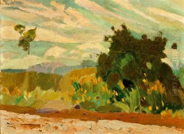 "paisaje Del Valles" - view 1
