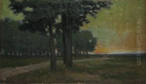 Margine De Padure by Gore Mircescu