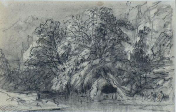 "paisaje" - view 1