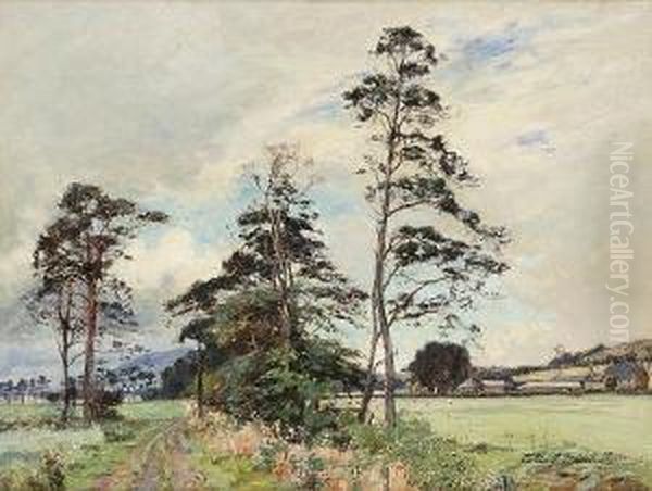 Carse Of Stirling - view 1