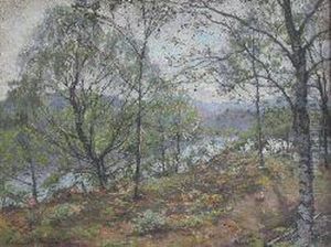 A Wooded River Landscape by Colin Gillespie Mitchell