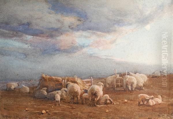 Sheep In A Landscape - view 1