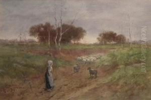 Country Landscape With Shepherdess Andher Flock