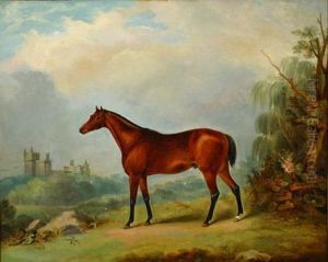 Bay Racehorse In A Landscape