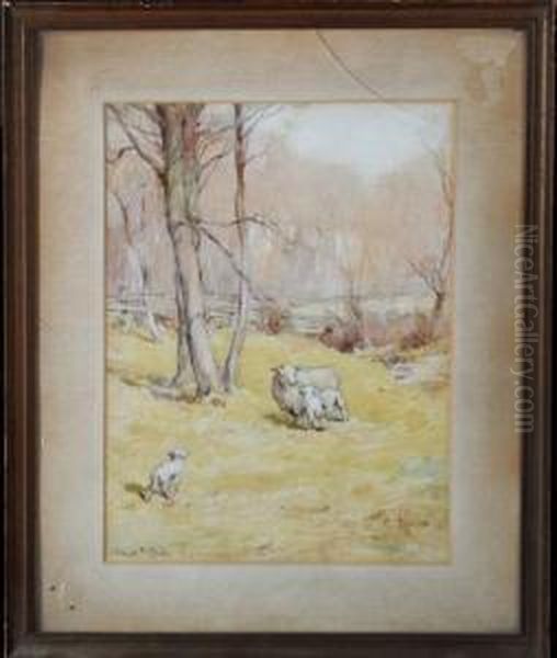 Sheep In A Meadow - view 1