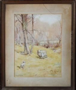 Sheep In A Meadow by James Edgar Mitchell