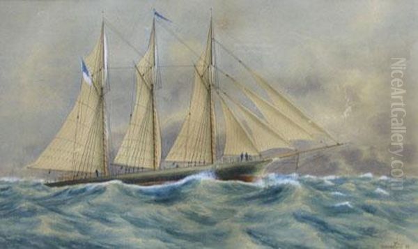 American Schooner - view 1