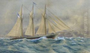 American Schooner