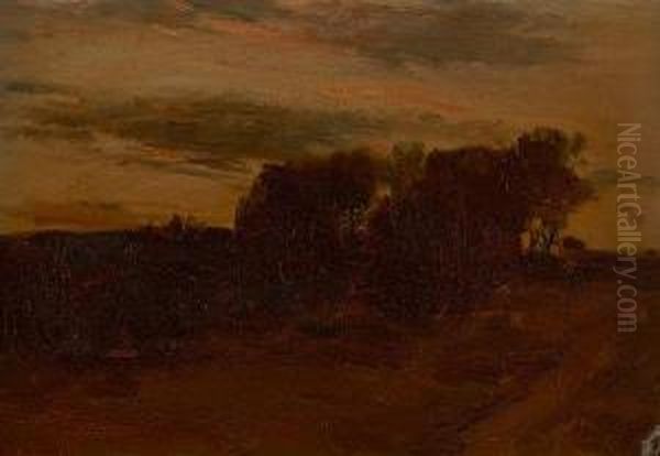 Copse At Dusk - view 1