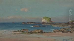 Bass Rock, Summer