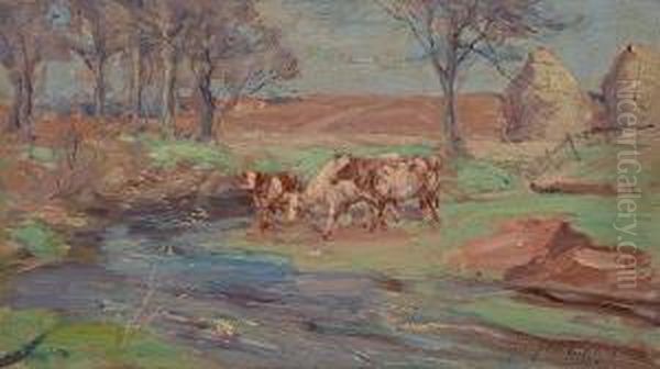 Spring Time Gogar Burn - view 1