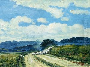 The Drover, Mokauiti Valley