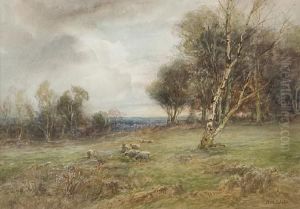 A Quiet Morning, Walton Heath, Surrey by Neil Mitchell