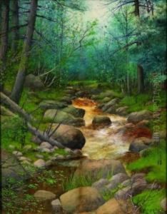 Woodland Brook by Neil Mitchell