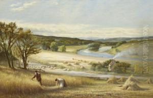 Harvest By The Dee by John Mitchell Of Aberdeen
