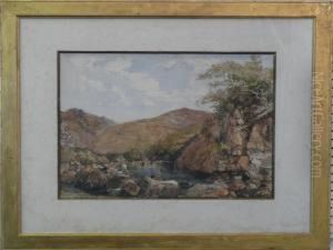 On The Dart, Near Benjy Tor by Philip Mitchell