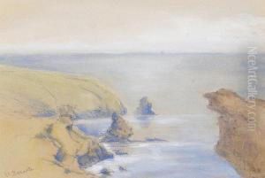 Near Boscastle by Philip Mitchell