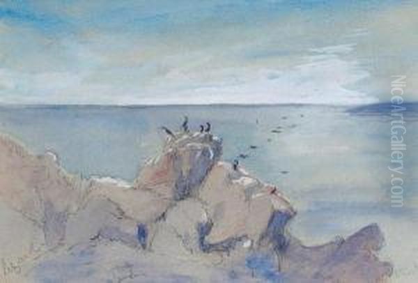 The Lizard - view 1