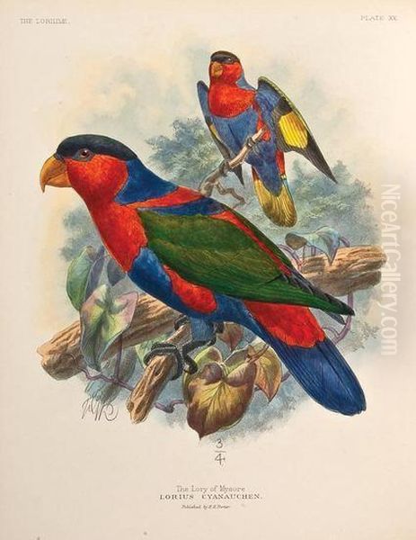 A Monograph Of The Lories, Or The Brush-tongued Parrots, Composing The Family Loriidae - view 1
