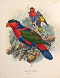 A Monograph Of The Lories, Or The Brush-tongued Parrots, Composing The Family Loriidae by George Mivart Jackson