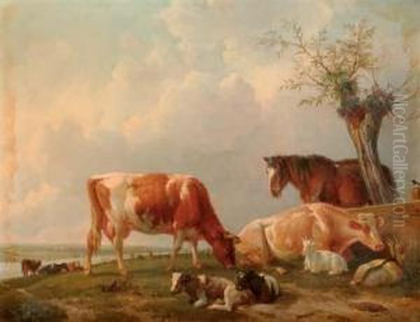 Spring: Cattle Resting By A River - view 1