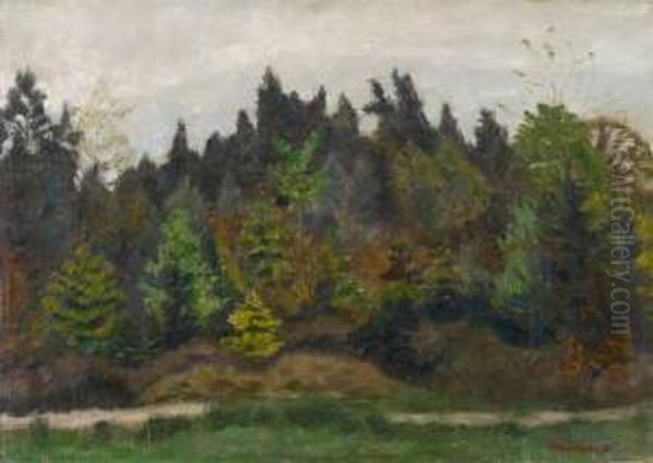 Surheide, Ruckseitig: Landschaft Mit Fischen, Allgau - view 1