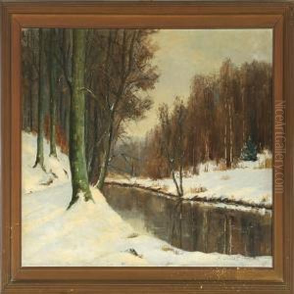 Vinter I Sorgenfrislotspark - view 1